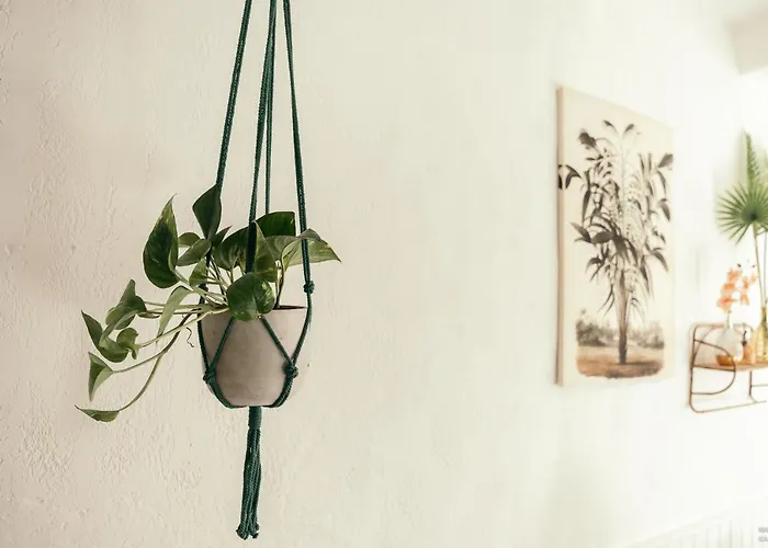 The Gaia アパート アンティーブ