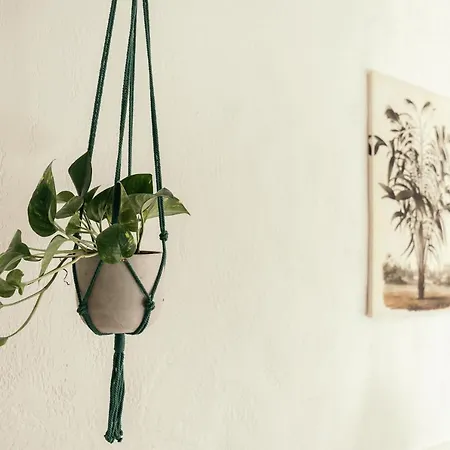 The Gaia Apartment Antibes